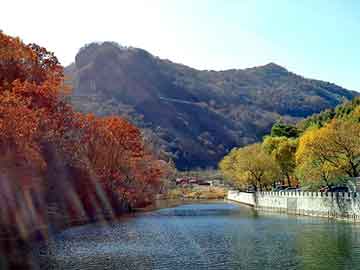 澳门红姐论坛精准两码300期，柳岩隆胸